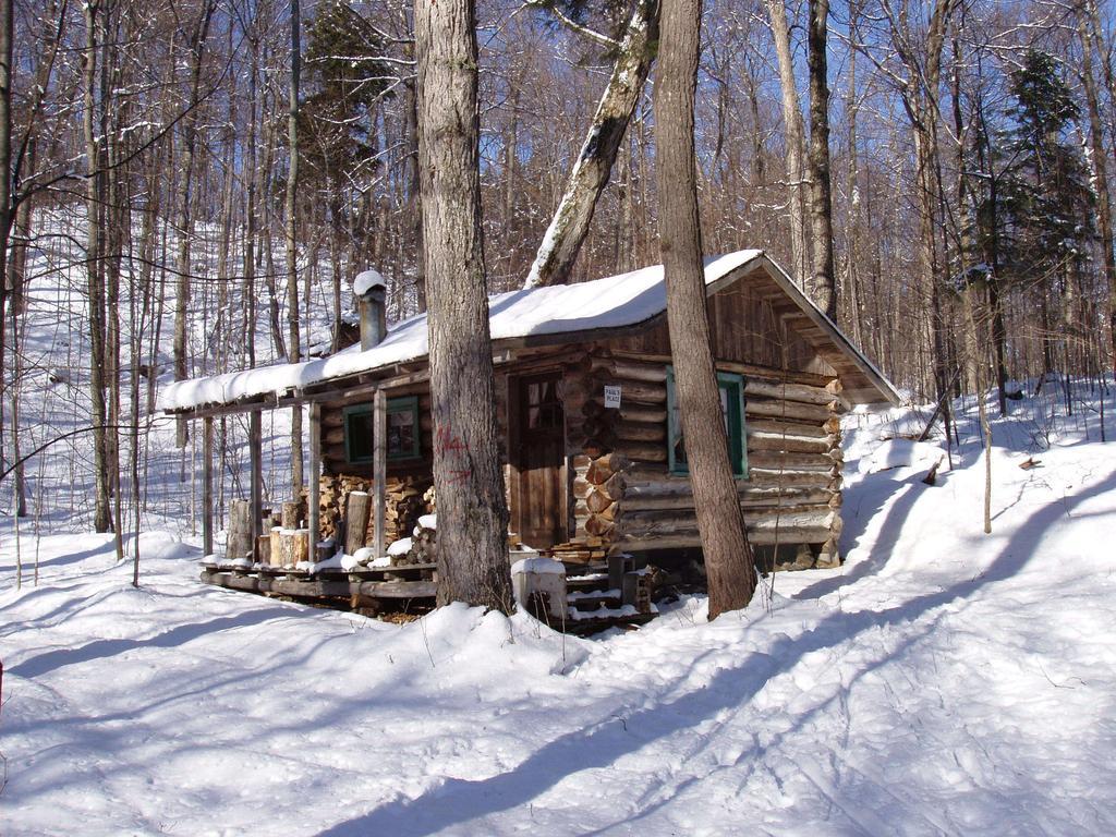 Bondi Village Cottage Resort Lake of Bays Exteriör bild